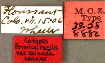 Media type: image;   Entomology 8882 Aspect: labels